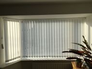 vertical blinds42